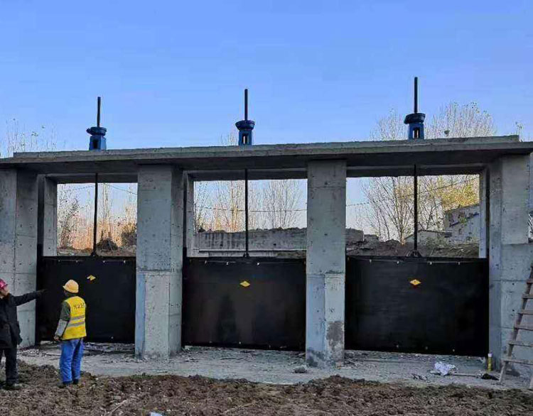 �ӵ��T�F�T�l�T